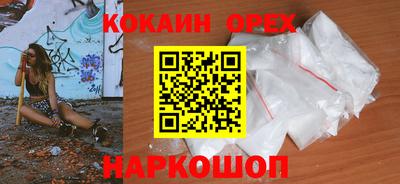 гидра Будённовск