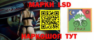 гидра Будённовск