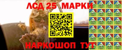 гидра Будённовск