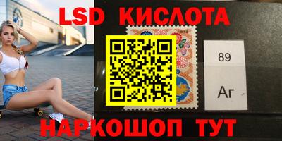 гидра Будённовск