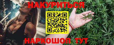 гидра Будённовск