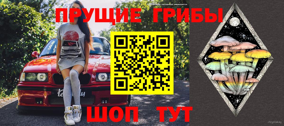 Галлюциногенные грибы Magic Shrooms  Вход с VPN  Кушва 