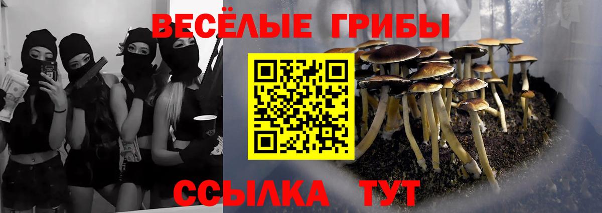 Псилоцибиновые грибы мицелий Кушва